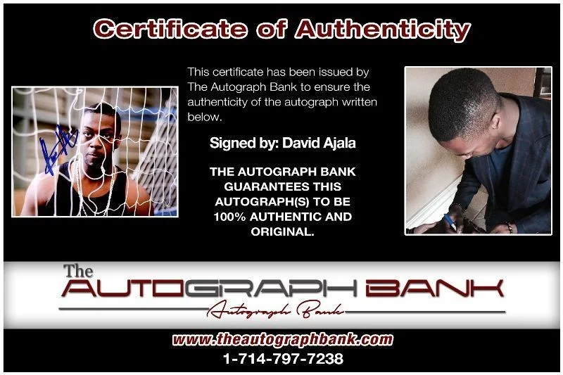 David Ajala — David Ajala authentic signed celebrity 8x10 photo W/Cert Autographed 2616g, image 2