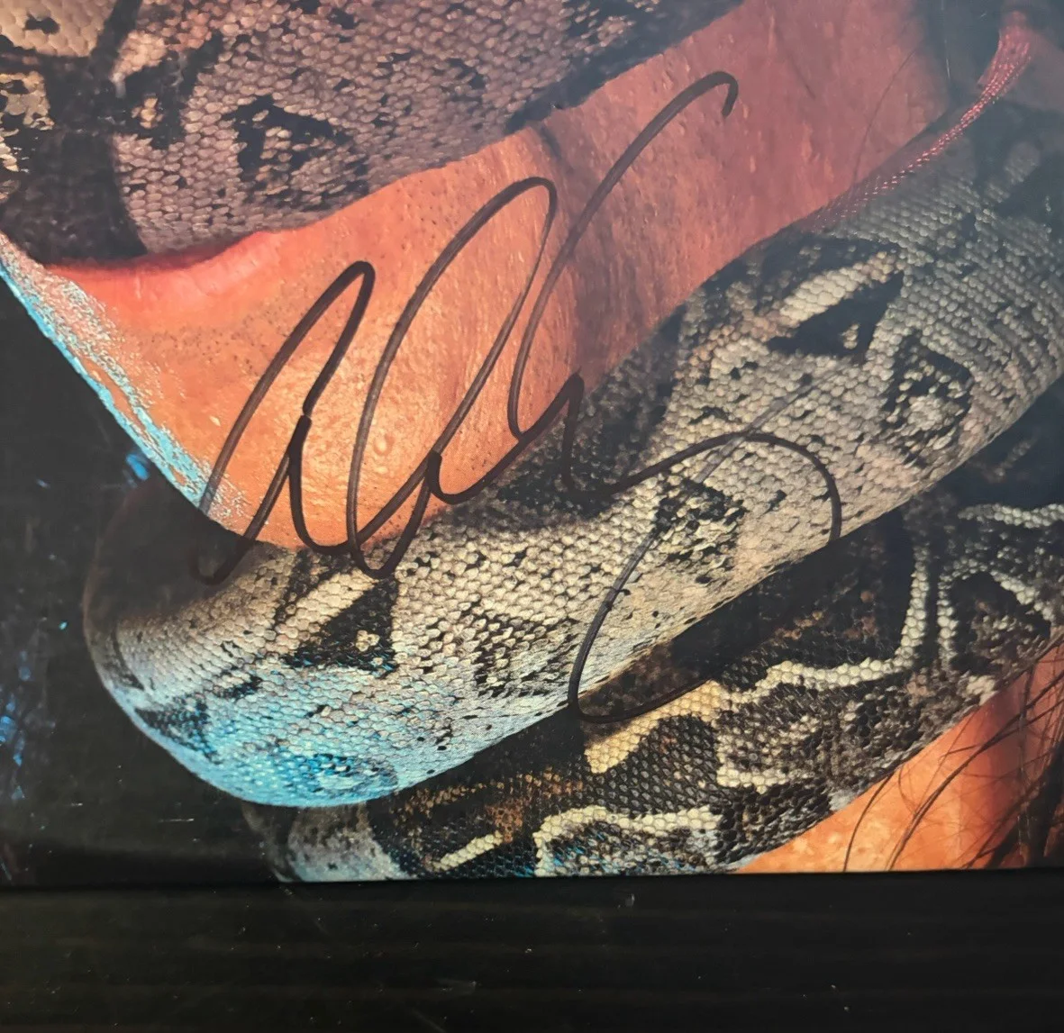 Alice Cooper signed Constrictor LP Vinyl Autographed, image 2