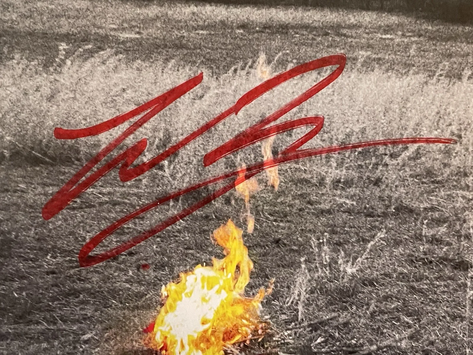 Warren Zeiders Signed Pretty Little Poison Vinyl Album, изображение 5