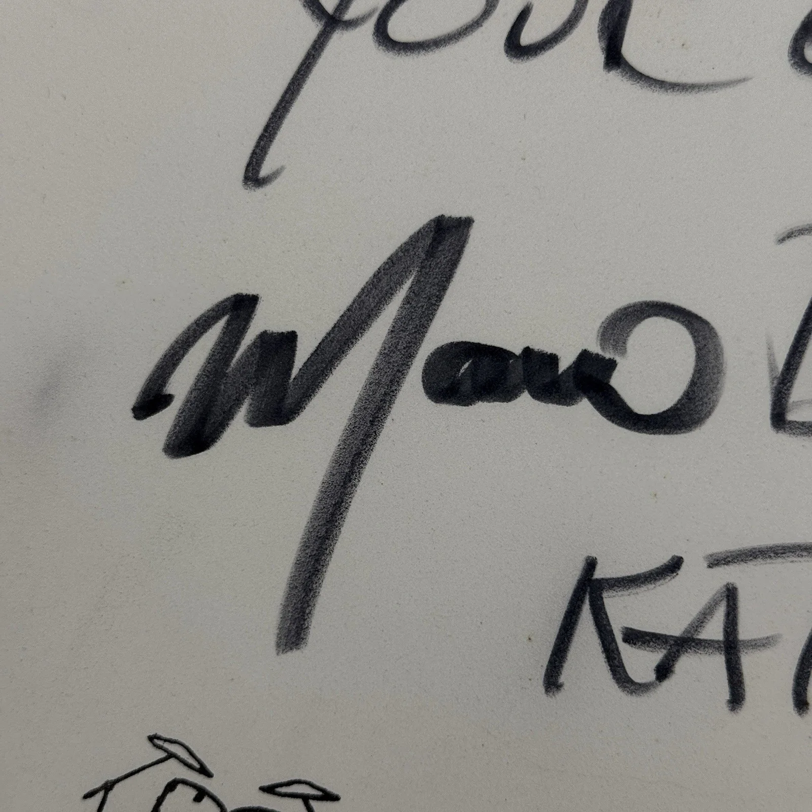 Marco De Castro Signed Drumhead Remo Ambassador –Sam Ash Presentation Autograph, image 3