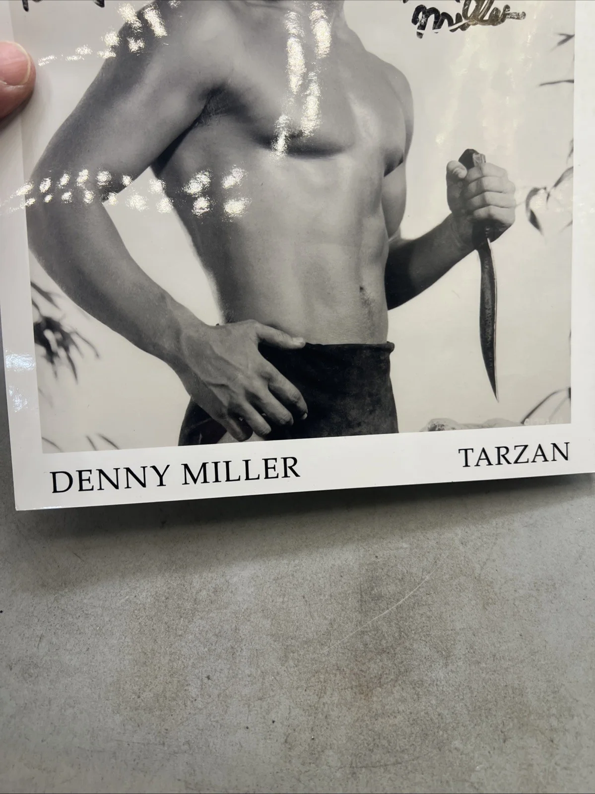 Denny Miller — Denny Miller Actor Signed BW 8x10 Photo Tarzan, image 5