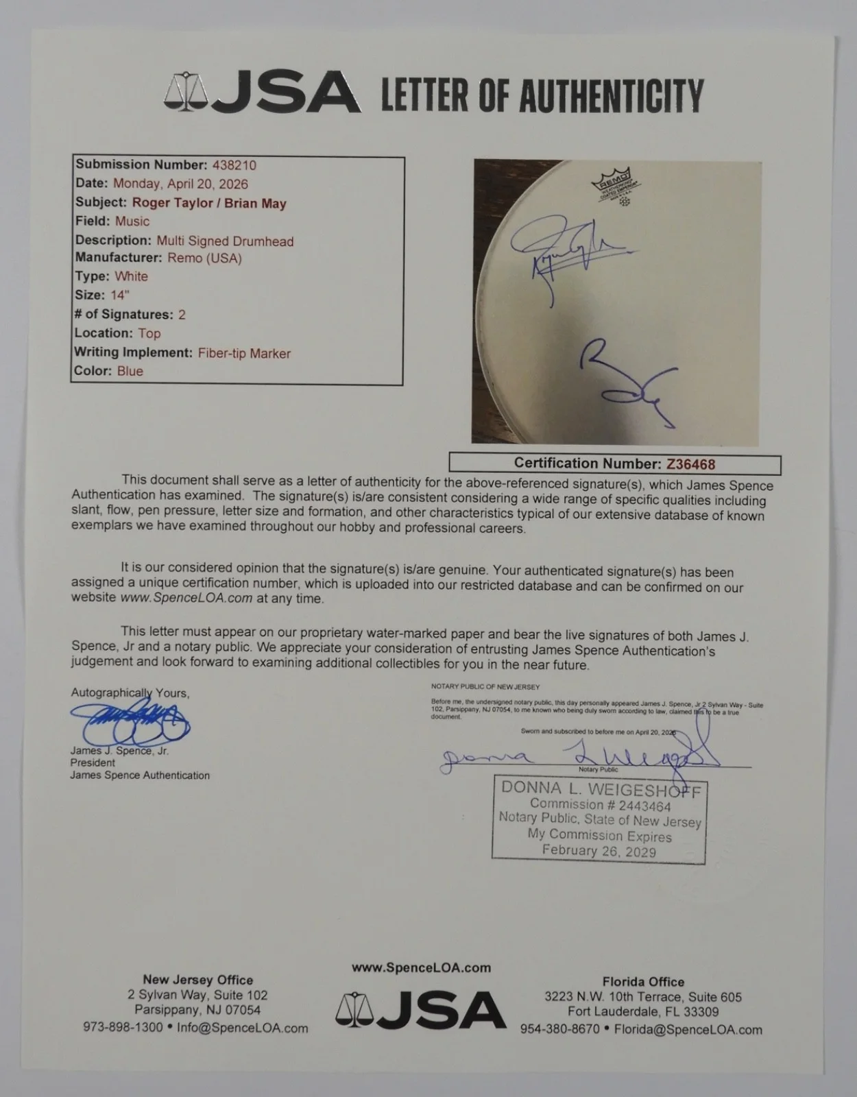 Queen JSA Signed Autograph Drum head 13" Roger Taylor Brian May Drumhead, image 4