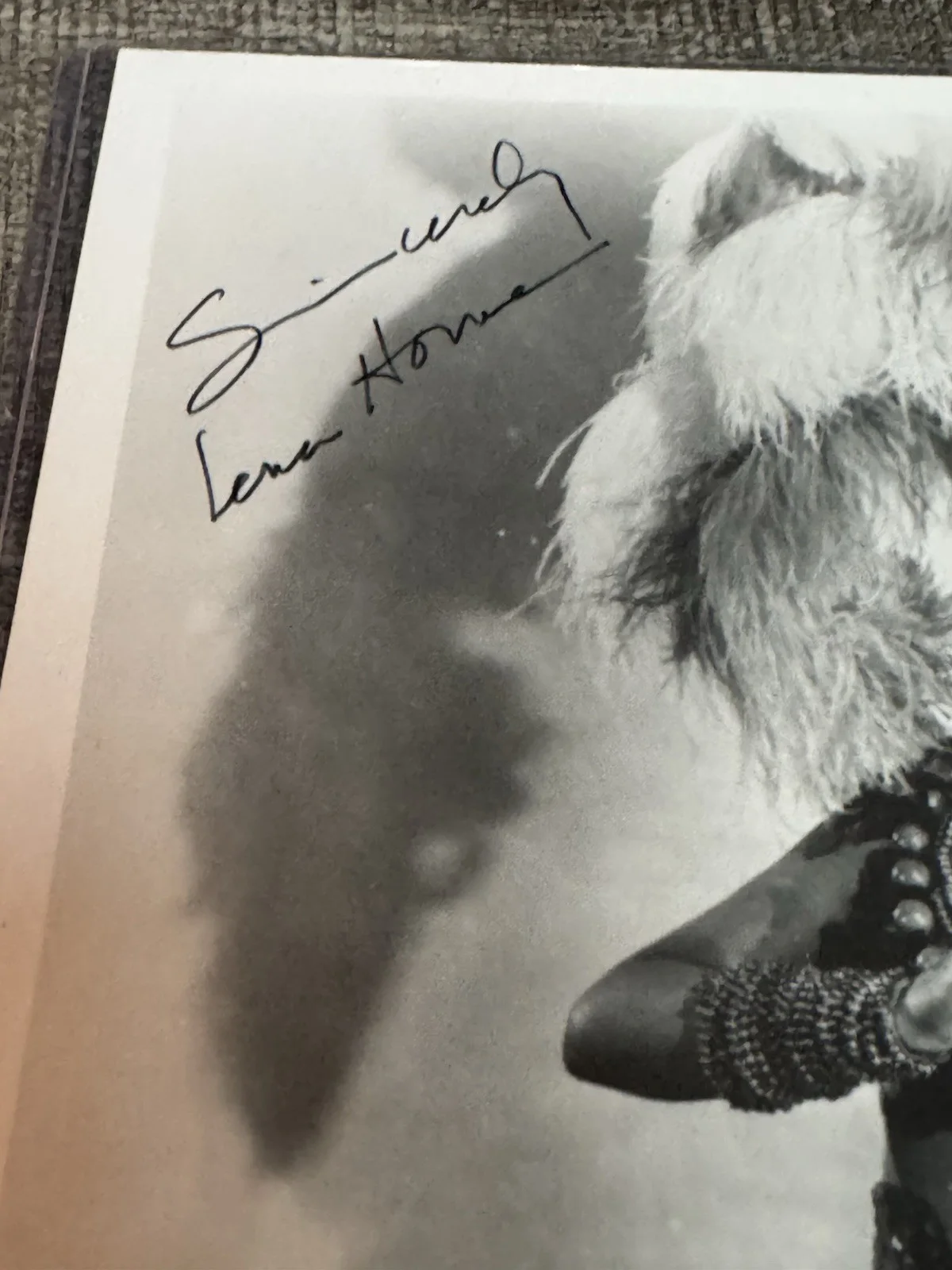 Lena Horne — Lena Horne Lovely Signed Vintage Photograph 8x10 COA Beautiful vintage photo, изображение 2