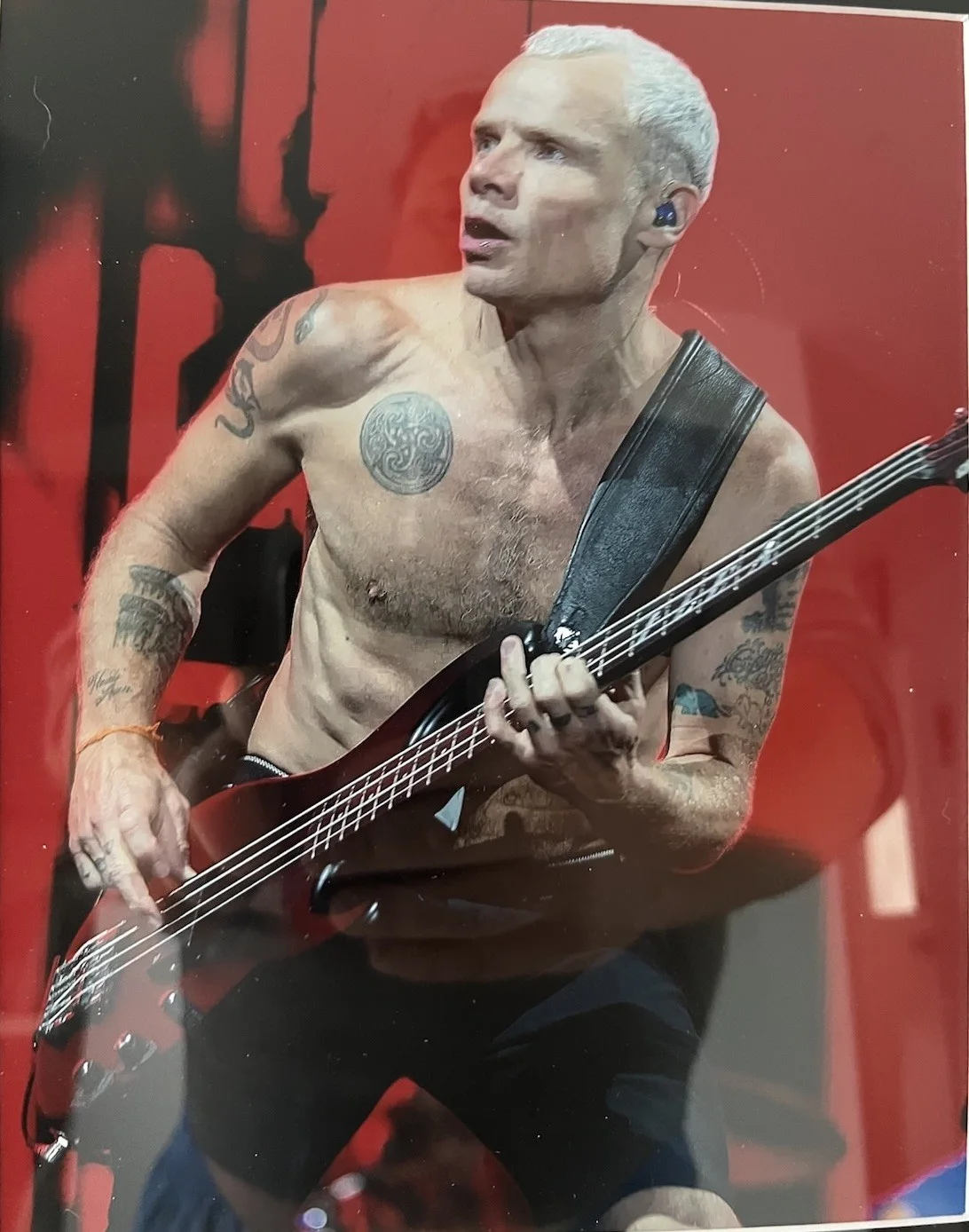Flea signed autographed index card & photo 8x10 framed 11x14 Chili Peppers, image 2