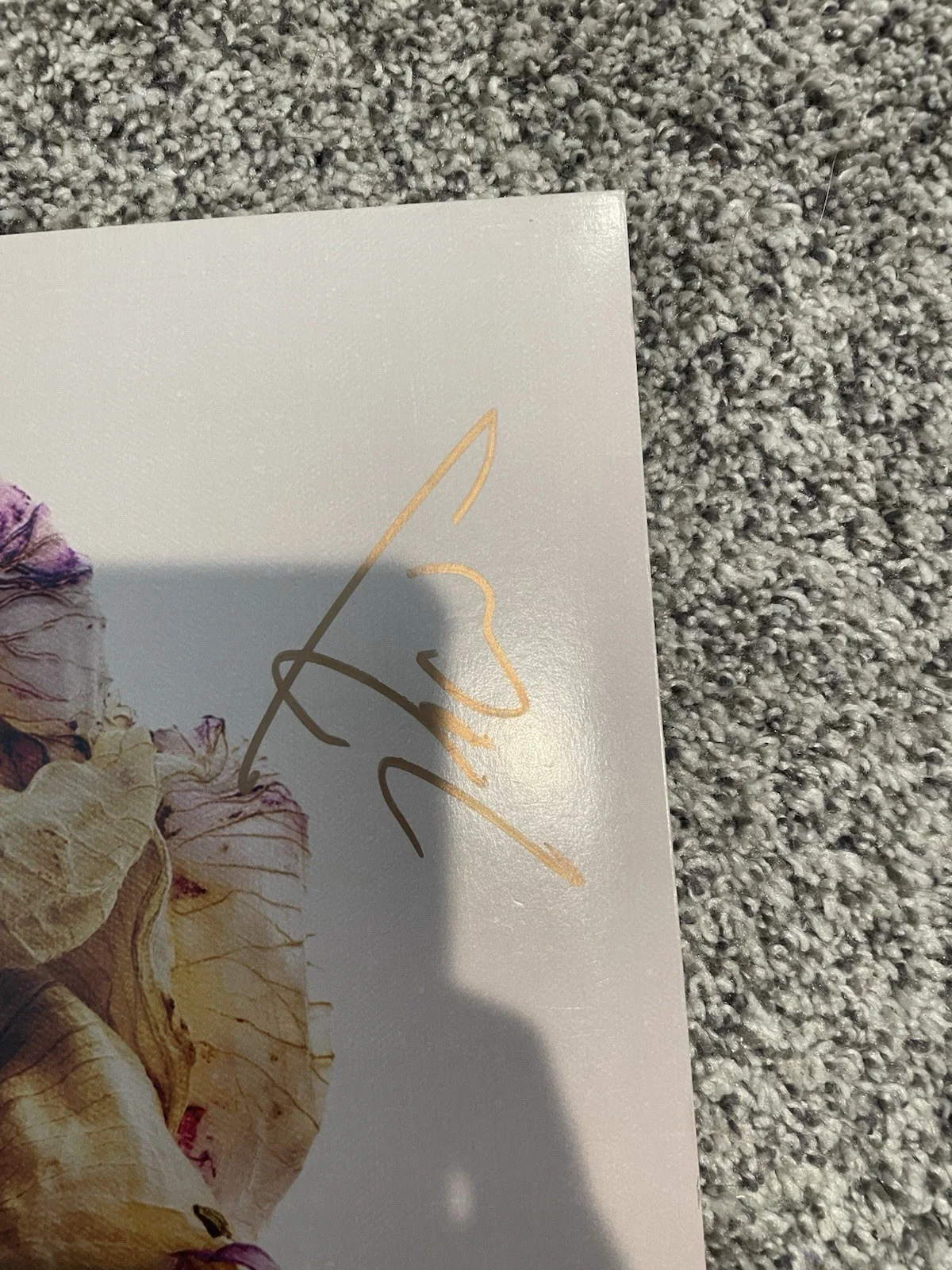 Tall Heights Neptune Signed Original Vinyl Record Music Industry Autographed, изображение 4