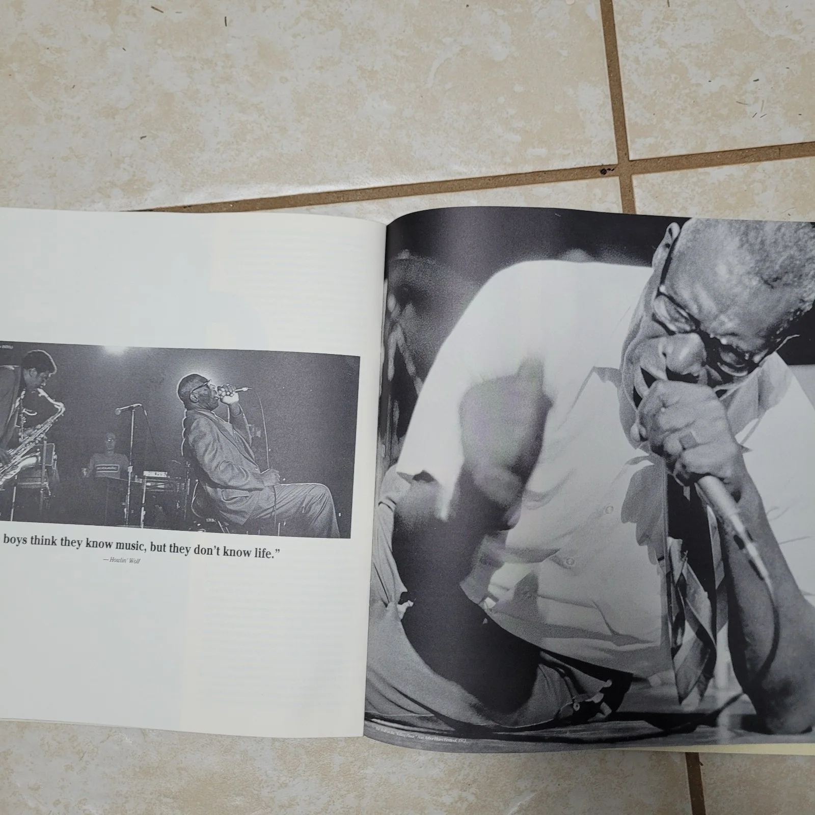 Howlin' Wolf The Chess Box Booklet Only, image 3