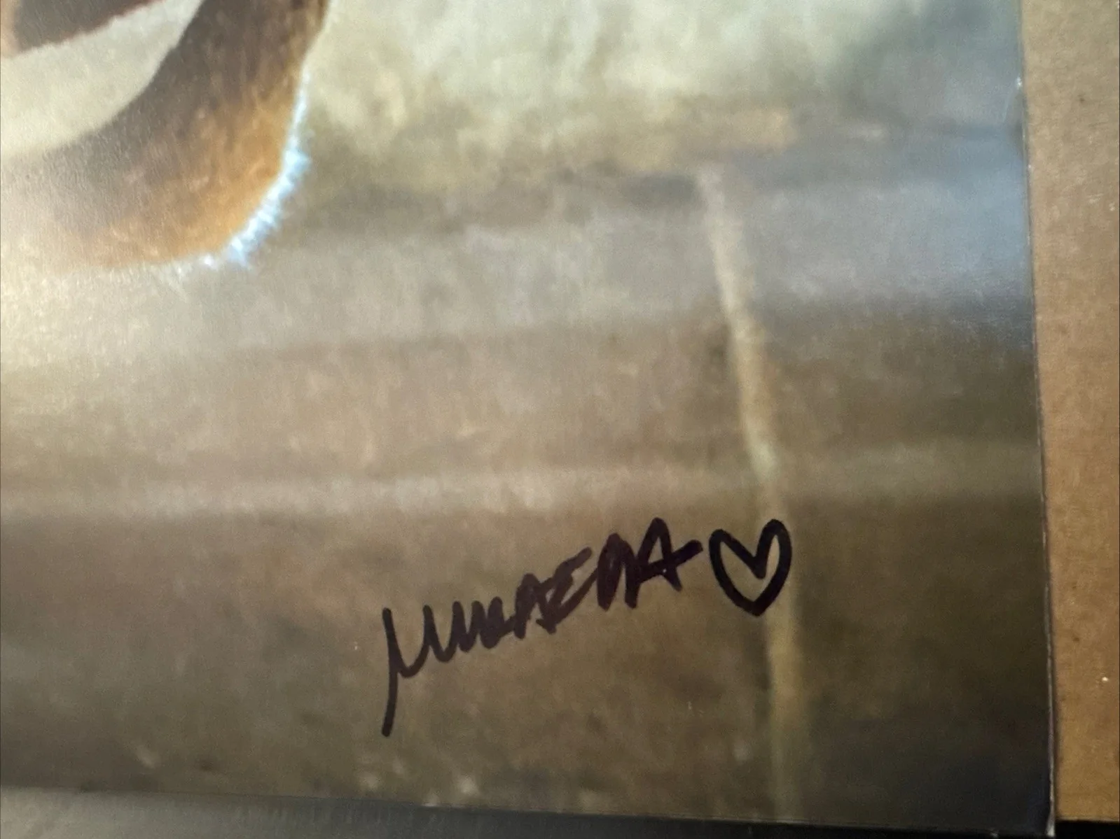 Mikaela Hoover — Signed 8x10 MIKAELA HOOVER One Piece Live Action Chopper Autograph JSA COA, image 2