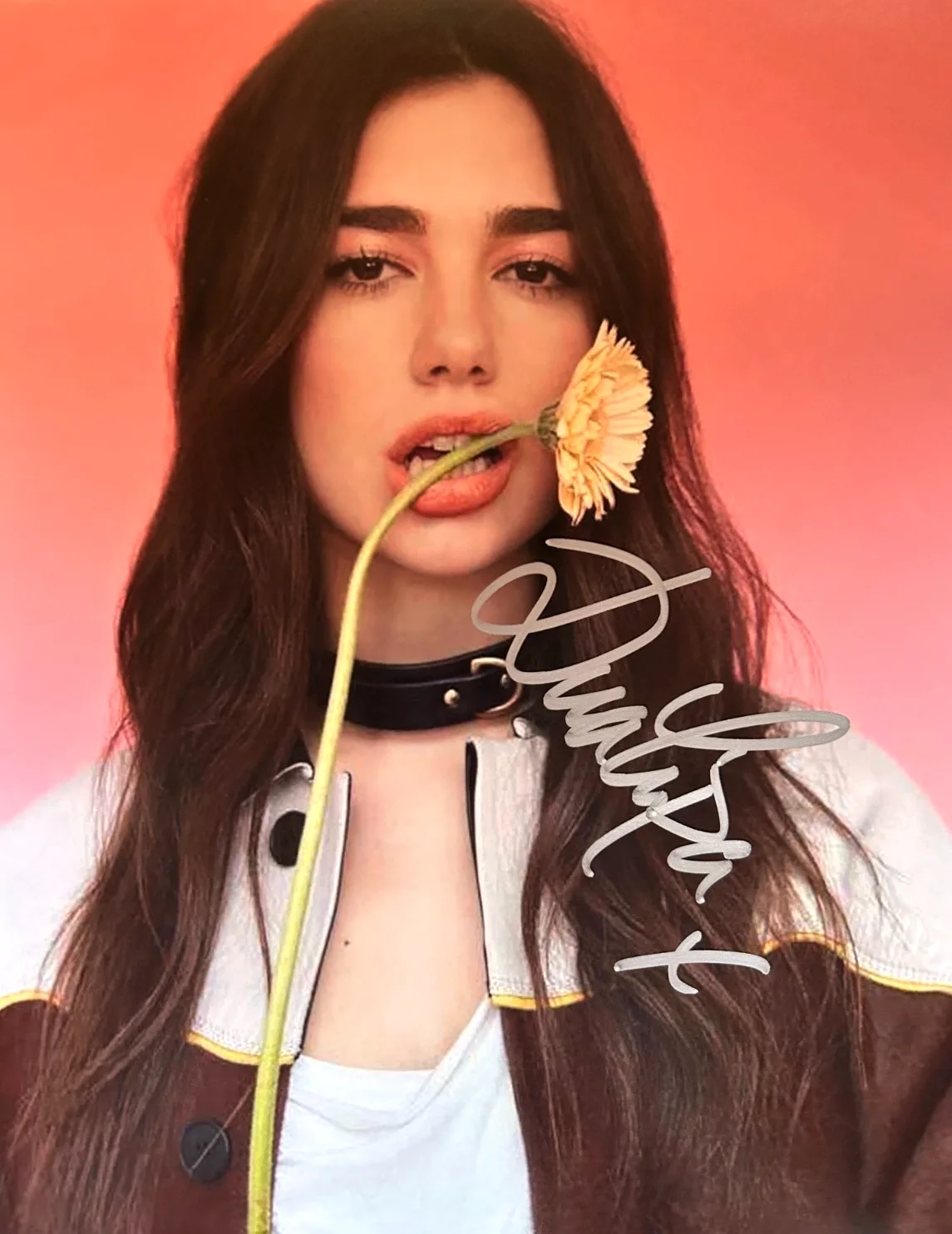 DUA LIPA Singed 8x10 inch Original Authentic Autograph GENUINE w/COA, image 3