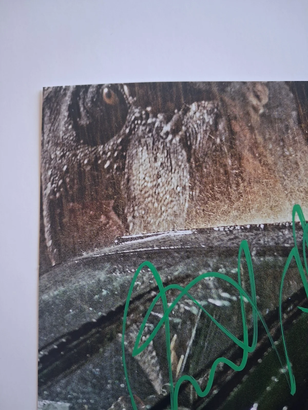 RICHARD SCHIFF Genuine hand signed autograph 8x10 photo LOST WORLD JURASSIC PARK, image 3