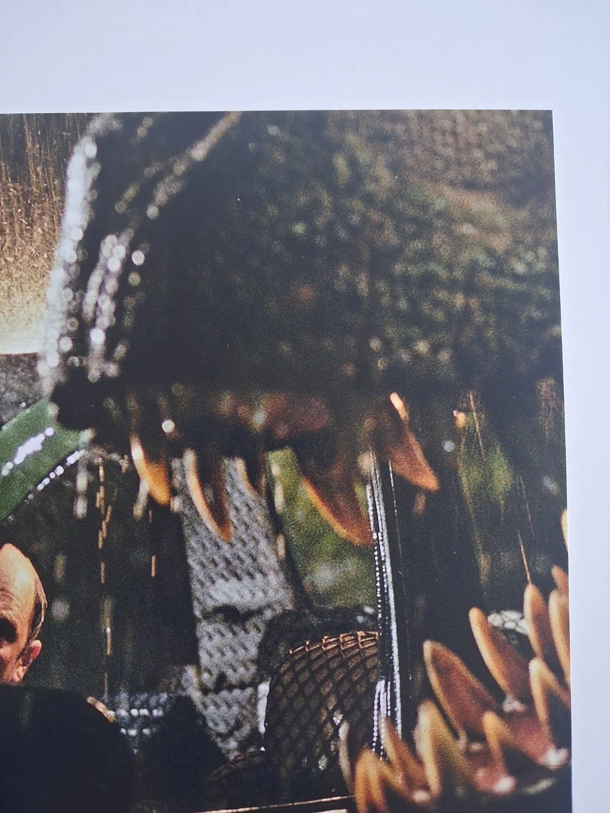 RICHARD SCHIFF Genuine hand signed autograph 8x10 photo LOST WORLD JURASSIC PARK, image 4