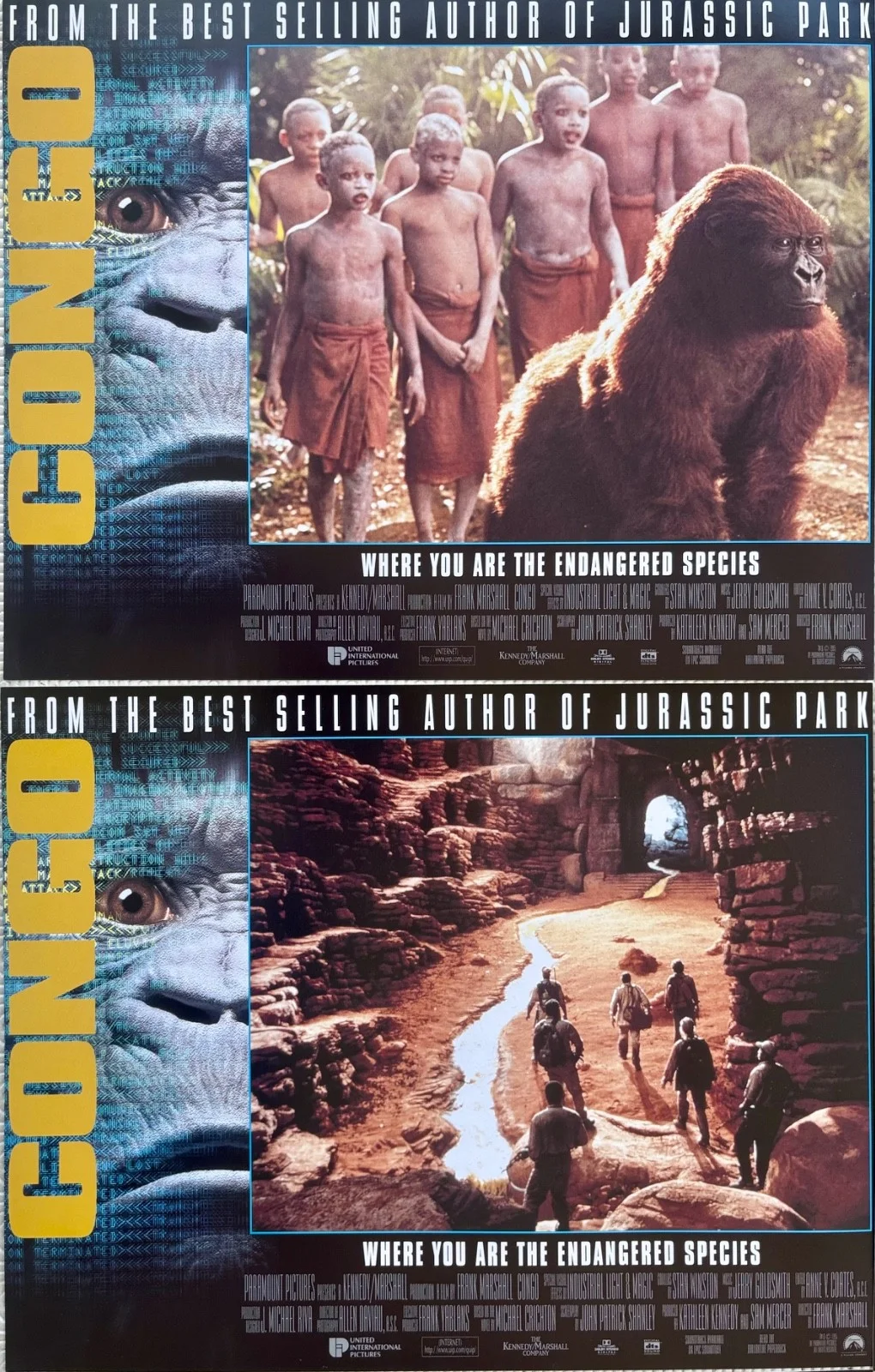 Congo set of 8 Original 1995 Lobby Cards Laura Linney Tim Curry Dylan Walsh, image 5