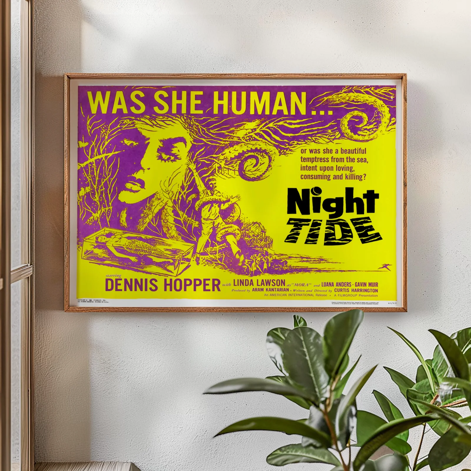 Night Tide - 1961 Horror / Fantasy Movie Restored 30" x 40" UK Quad Poster, изображение 2