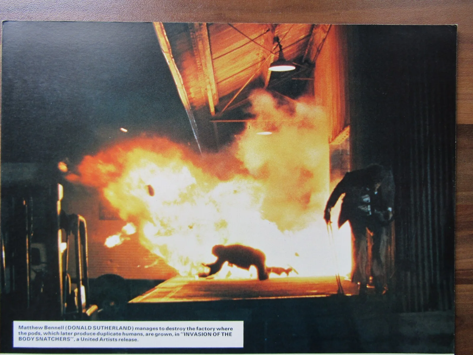 Vintage film movie Lobby card promo - Invasion of the Body Snatchers - 10 x 8, изображение 2