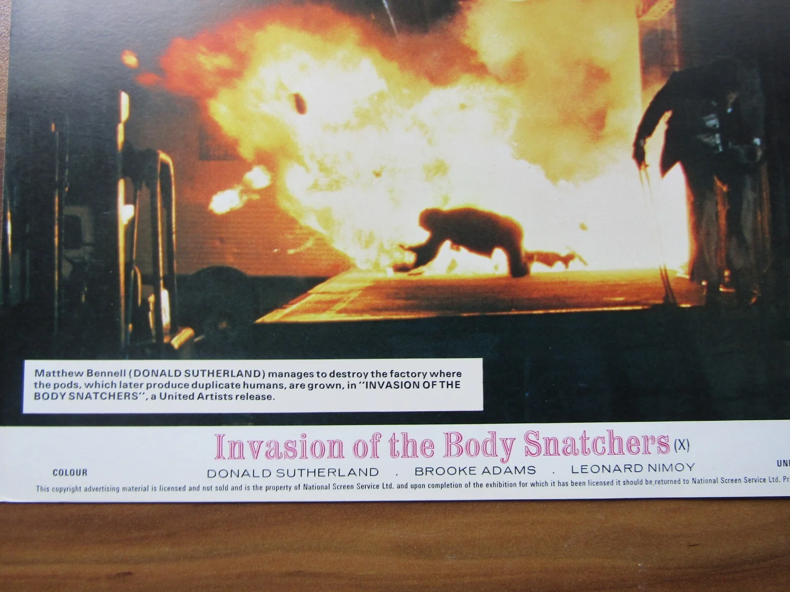 Vintage film movie Lobby card promo - Invasion of the Body Snatchers - 10 x 8, изображение 3