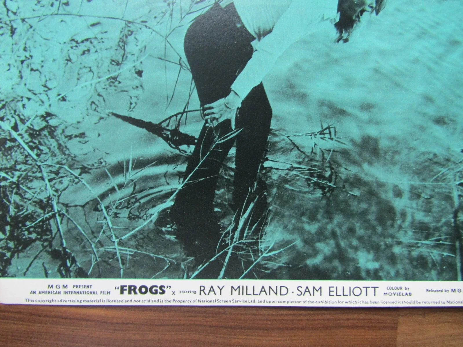 Vintage film movie Lobby card promo - Frogs - 10 x 8, изображение 2