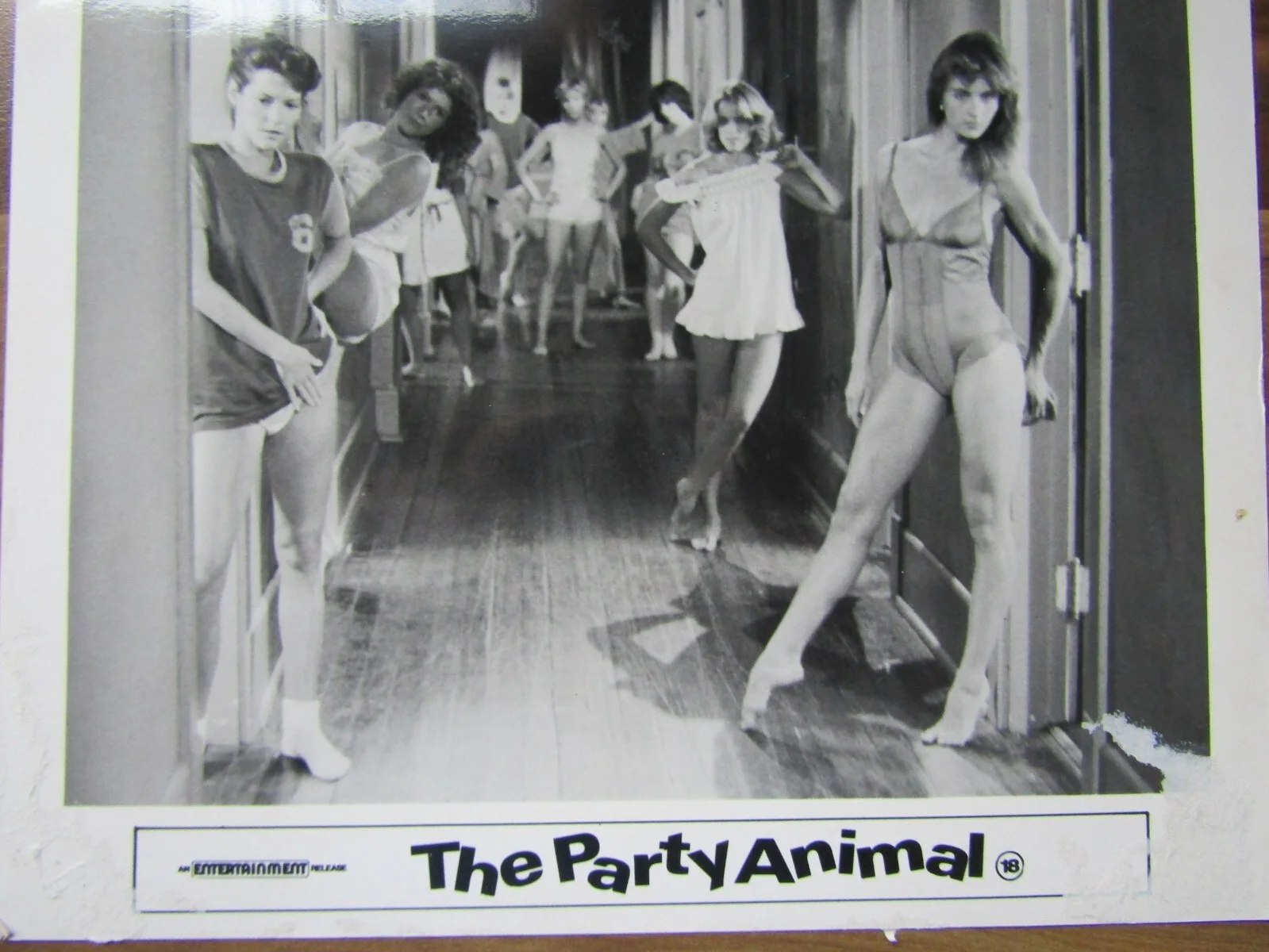 Vintage film promo lobby card - The Party Animal - 1980's, изображение 2