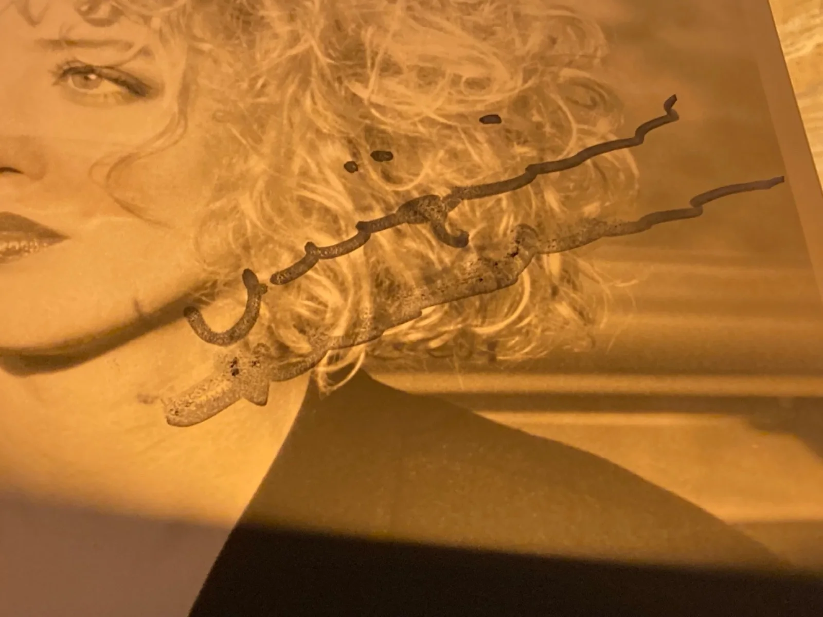 Hand SIGNED Virginia Madsen 8x10 Vintage Photo (Smudge*) Dune, Candyman, Lola, изображение 5