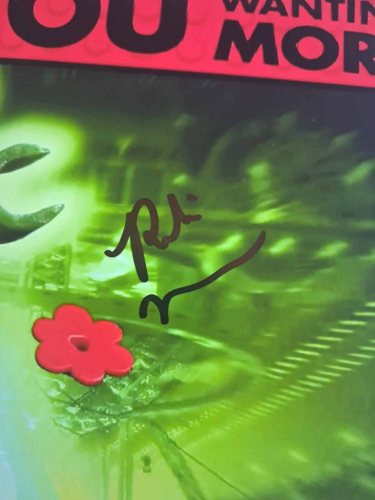 RIKI LINDHOME - Genuine hand signed autograph 8X10 (The LEGO Batman Movie), изображение 2