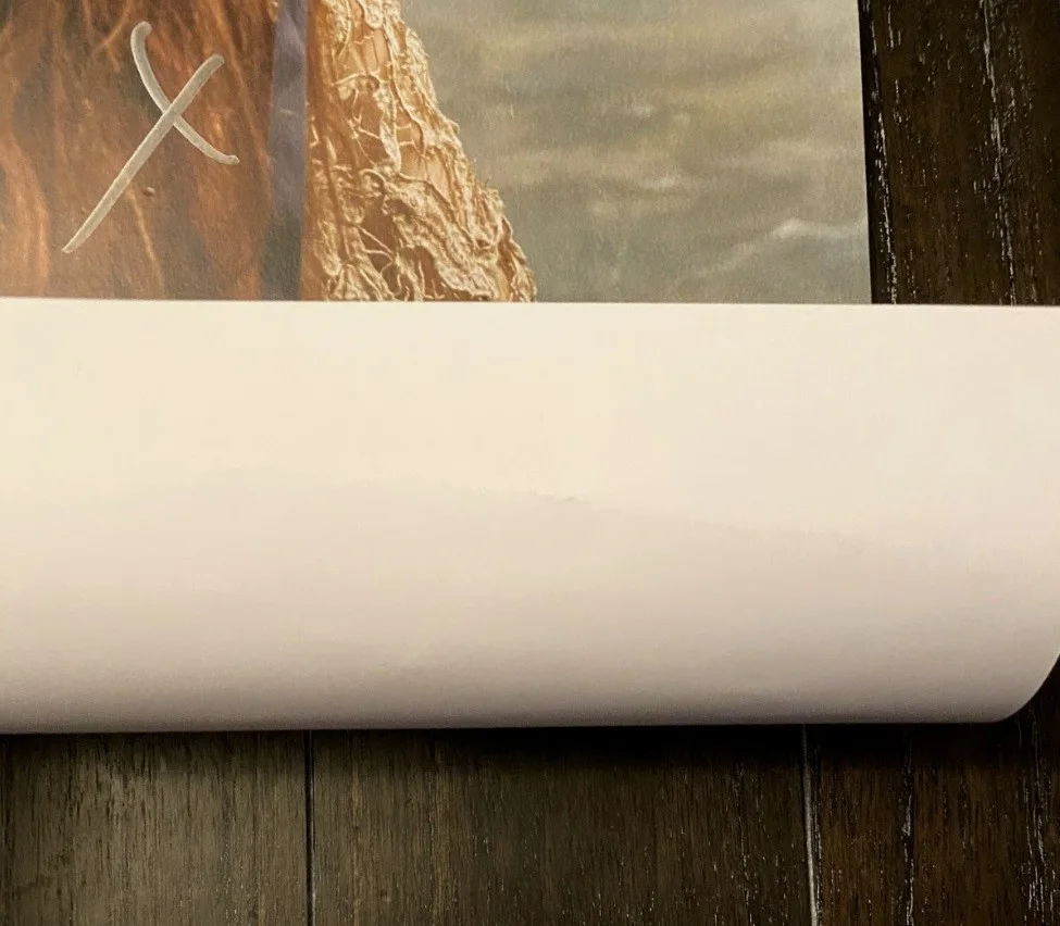 Florence and the Machine - Dance Fever Set of 3 Signed Posters, изображение 5