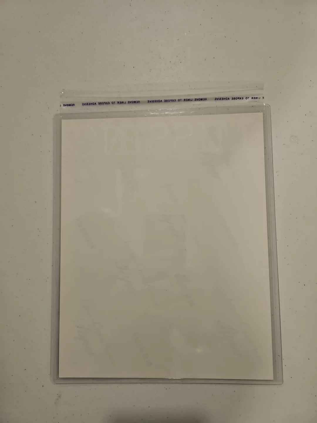 8x10 Michael C. Williams Autograph From The Blair Witch Project, image 2