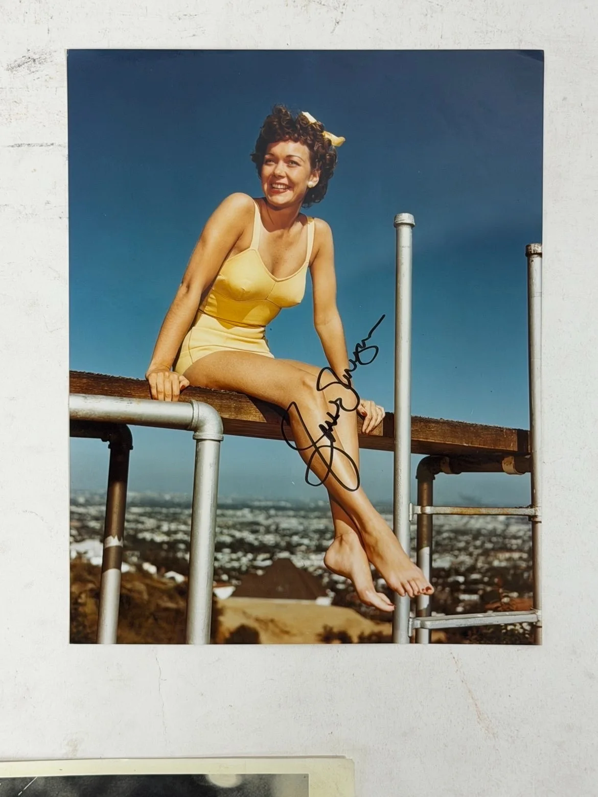 Collection of 4 Signed Photos incl. Robocop actor, pin-up actress (mixed), image 2