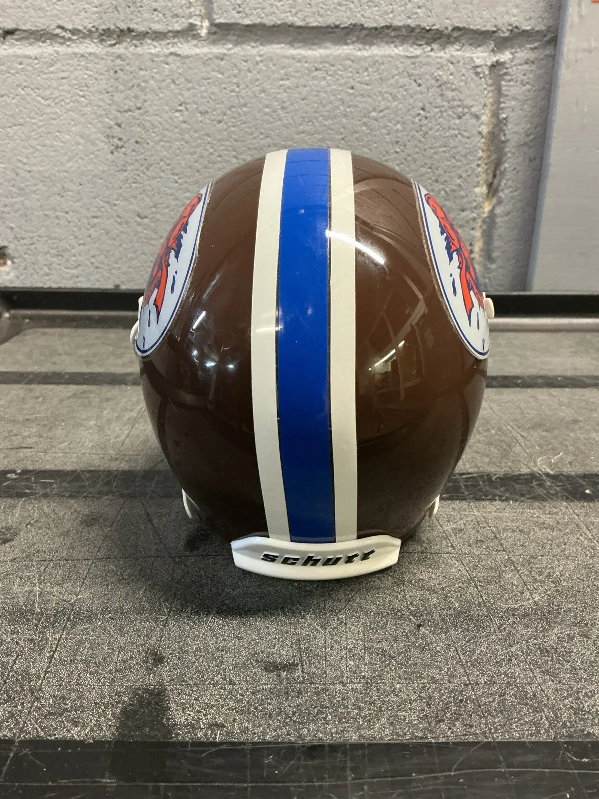 SCLSU Mud Dogs (The Waterboy) Mini Schutt Helmet, image 4