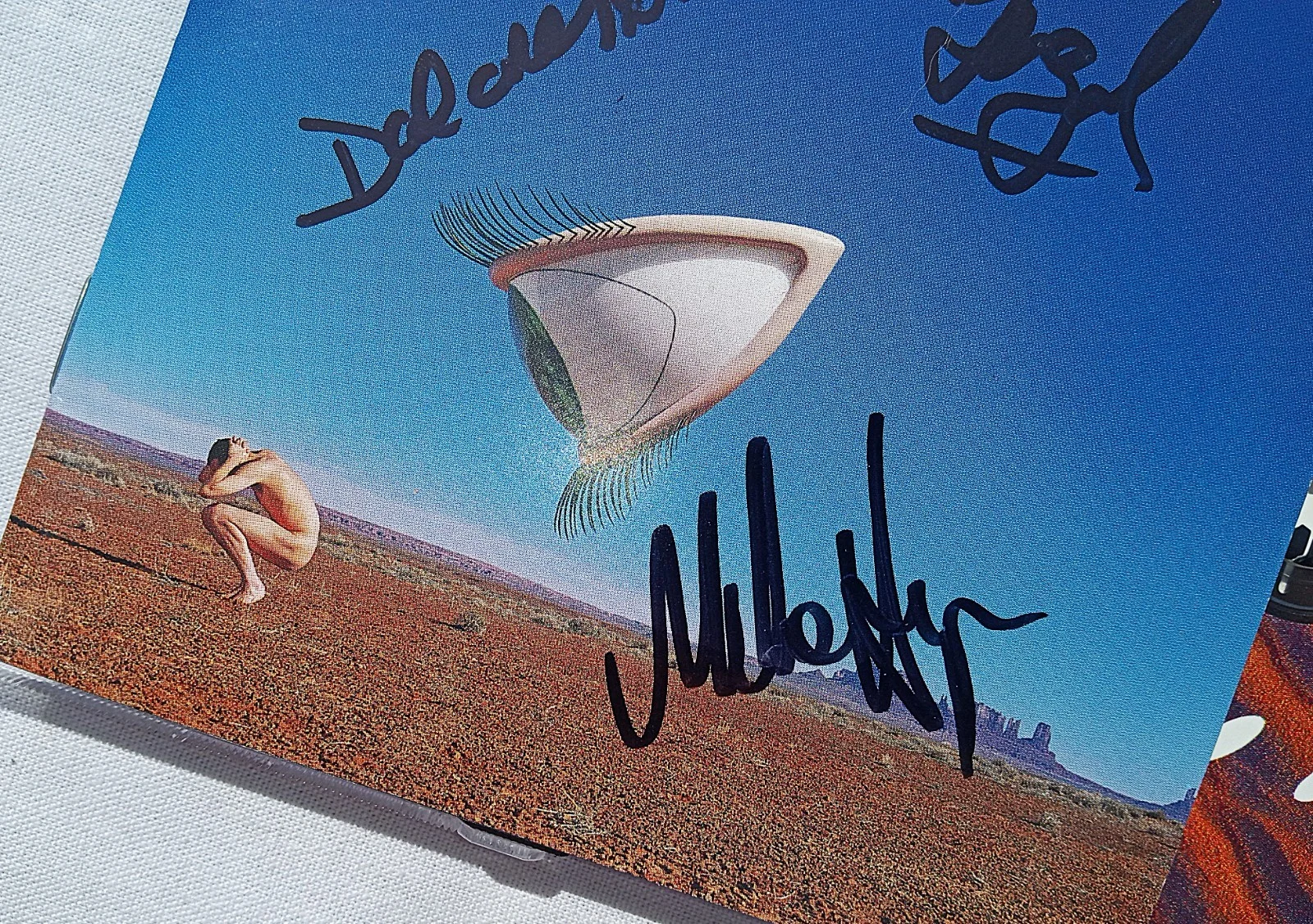CRANBERRIES 1999 Autographed Hand-Signed Band Member Bury The Hatchet CD Booklet, изображение 5