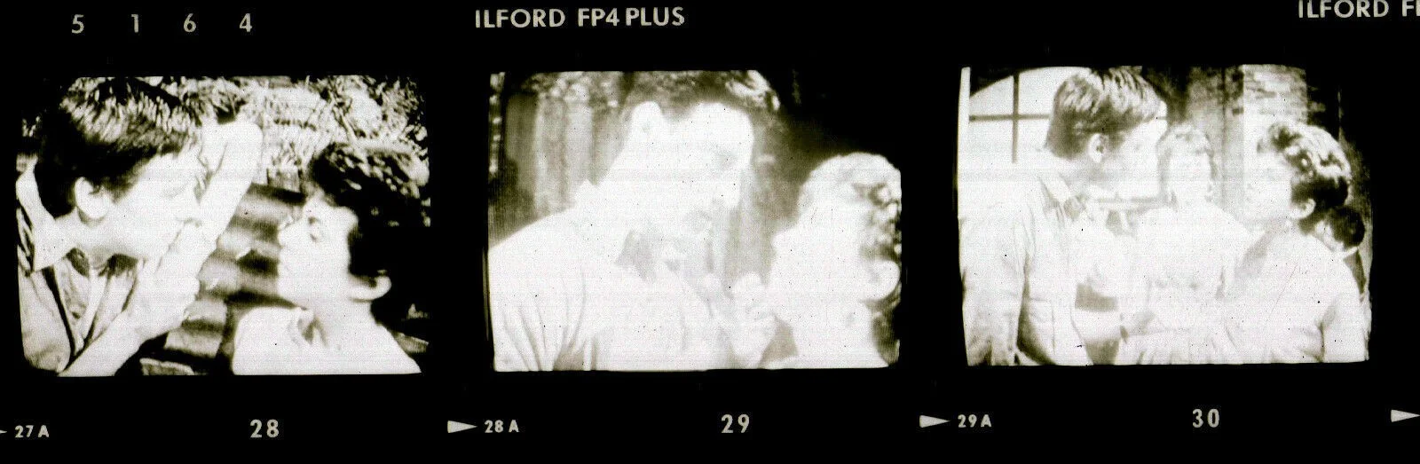 LENA O MY LENA 1960 Billie Whitelaw, Peter McEnery, Scott Forbes 36 NEGATIVES, image 3