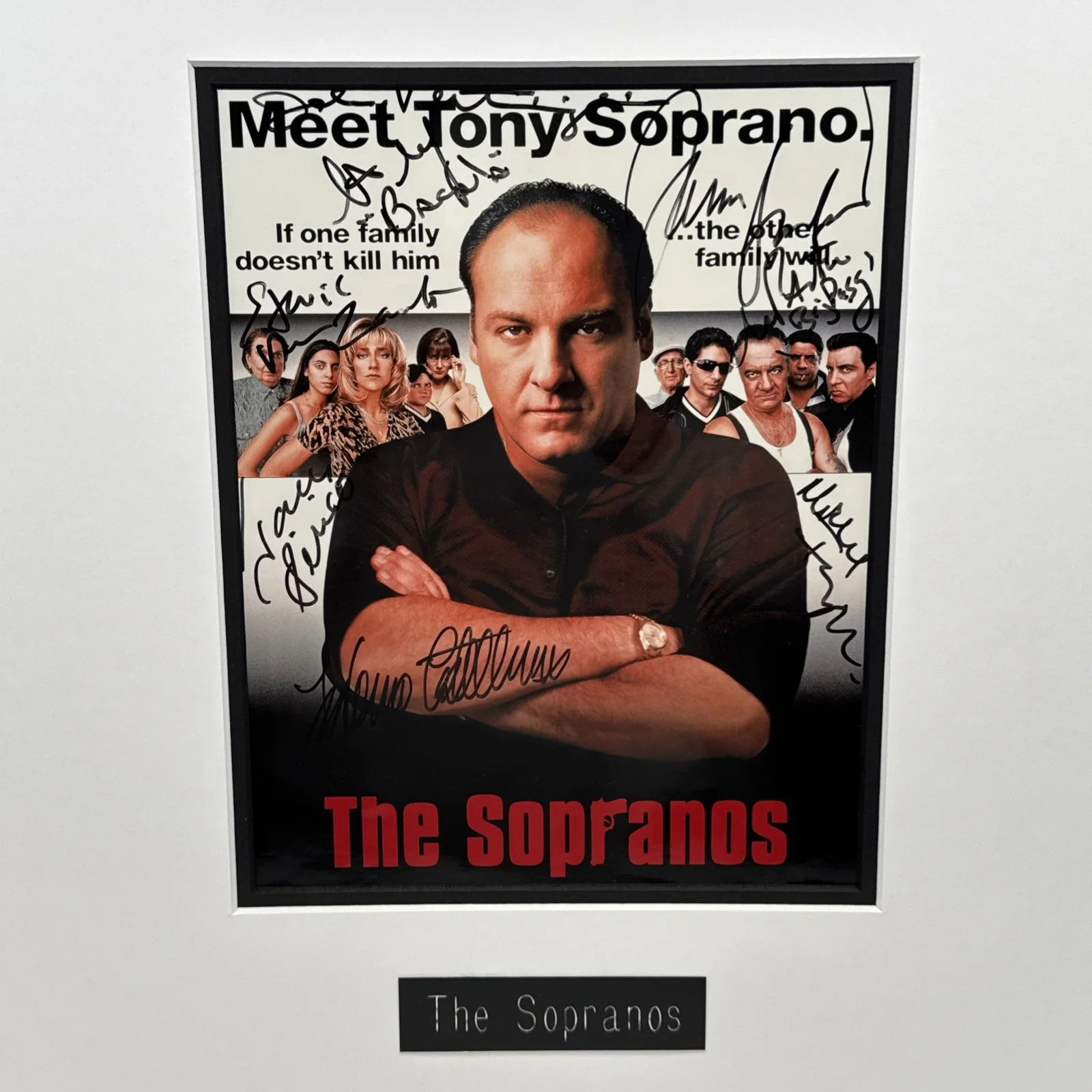 James Gandolfini — The Sopranos Signed Poster 8 Autographs James Gandolfini Tony Sirico 20" x 17", image 2