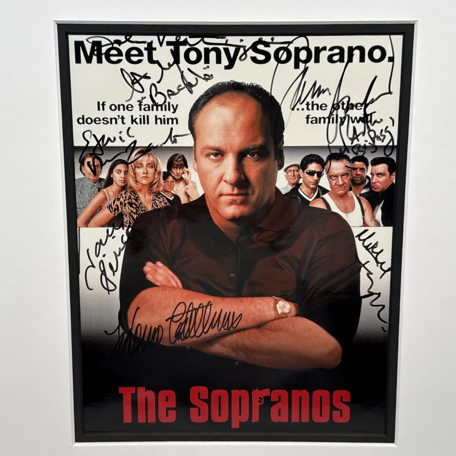 James Gandolfini — The Sopranos Signed Poster 8 Autographs James Gandolfini Tony Sirico 20" x 17", image 3