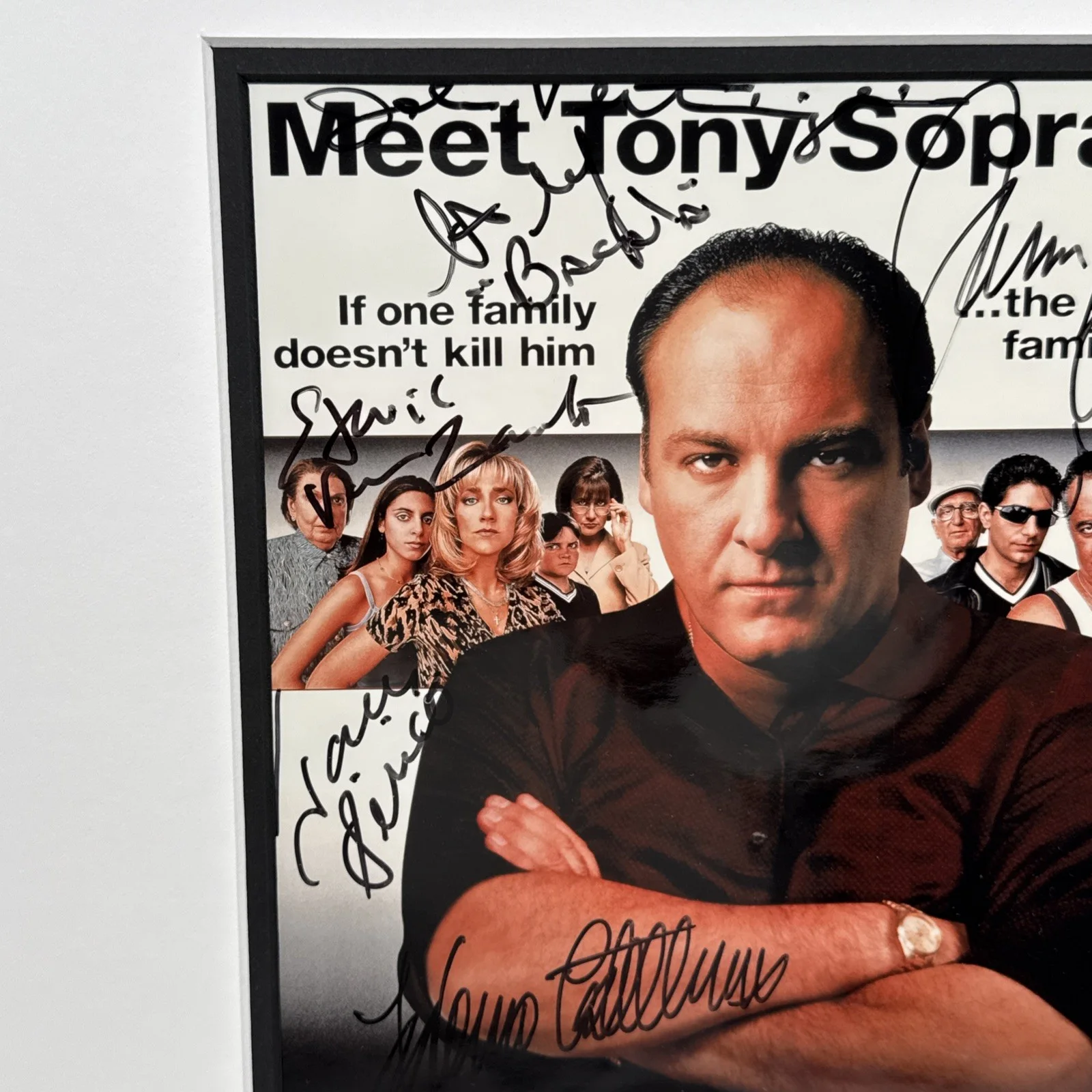 James Gandolfini — The Sopranos Signed Poster 8 Autographs James Gandolfini Tony Sirico 20" x 17", image 4