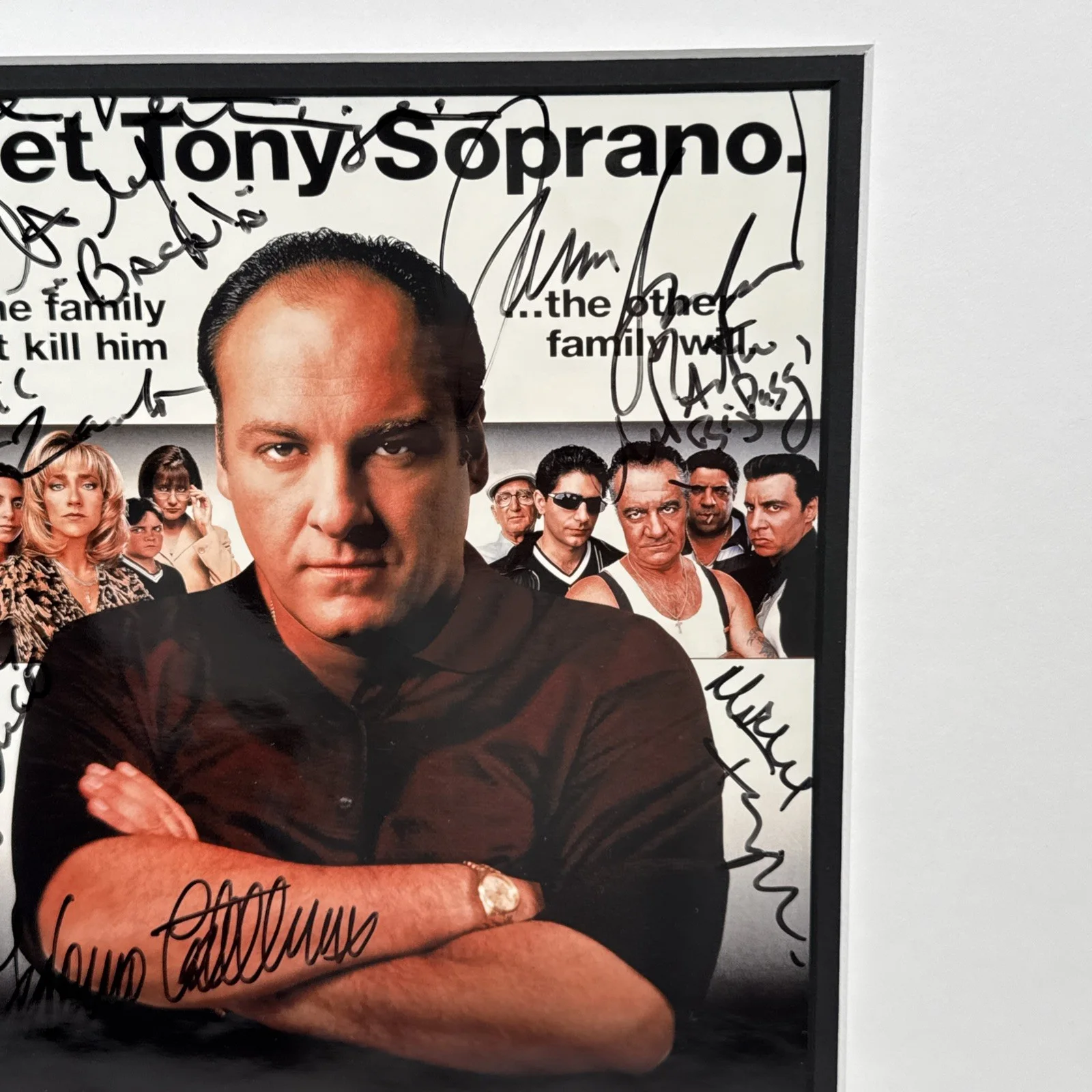 James Gandolfini — The Sopranos Signed Poster 8 Autographs James Gandolfini Tony Sirico 20" x 17", image 5