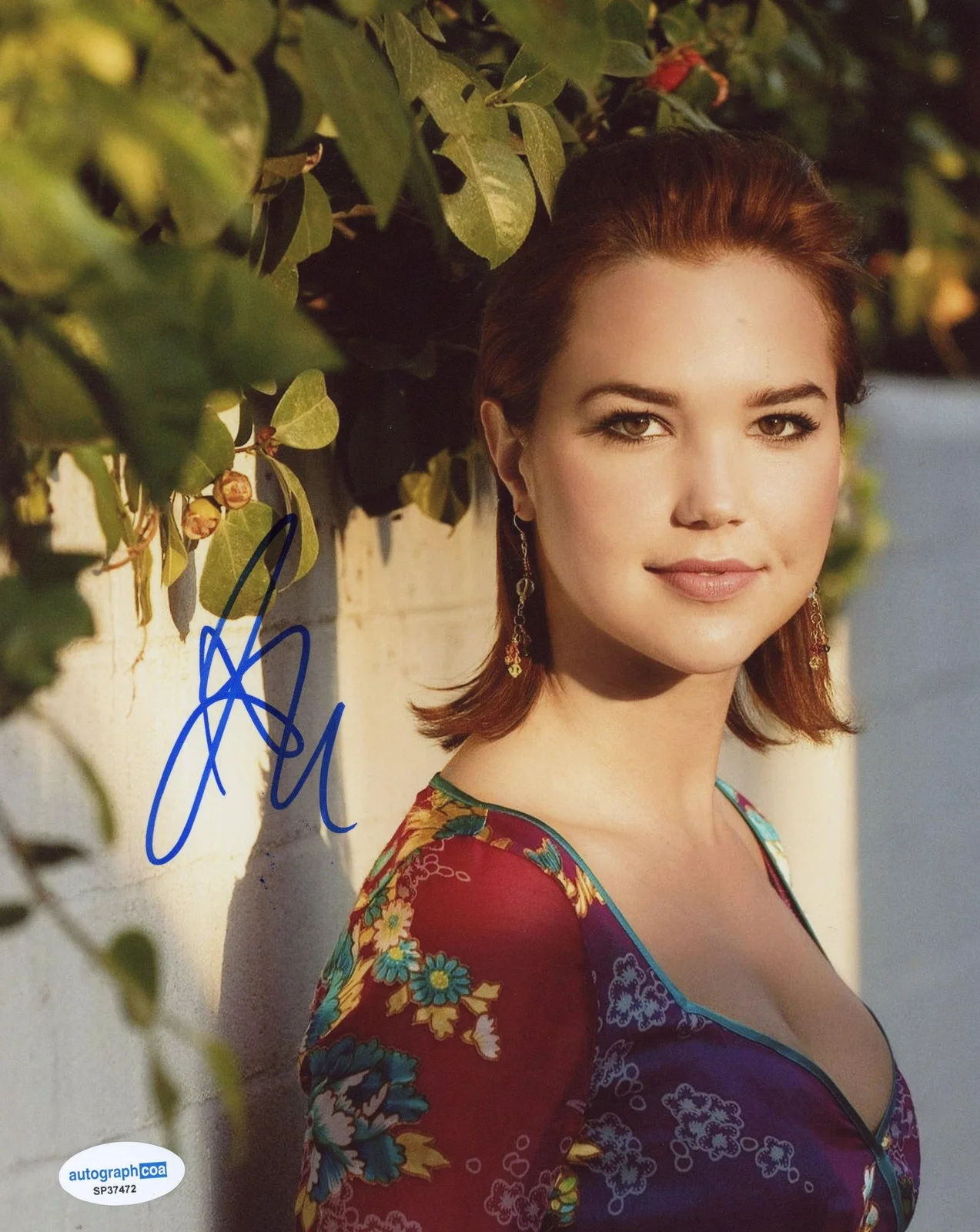 Arielle Kebbel — Arielle Kebbel "Gilmore Girls" AUTOGRAPH Signed Autographed 8x10 Photo B ACOA, изображение 2