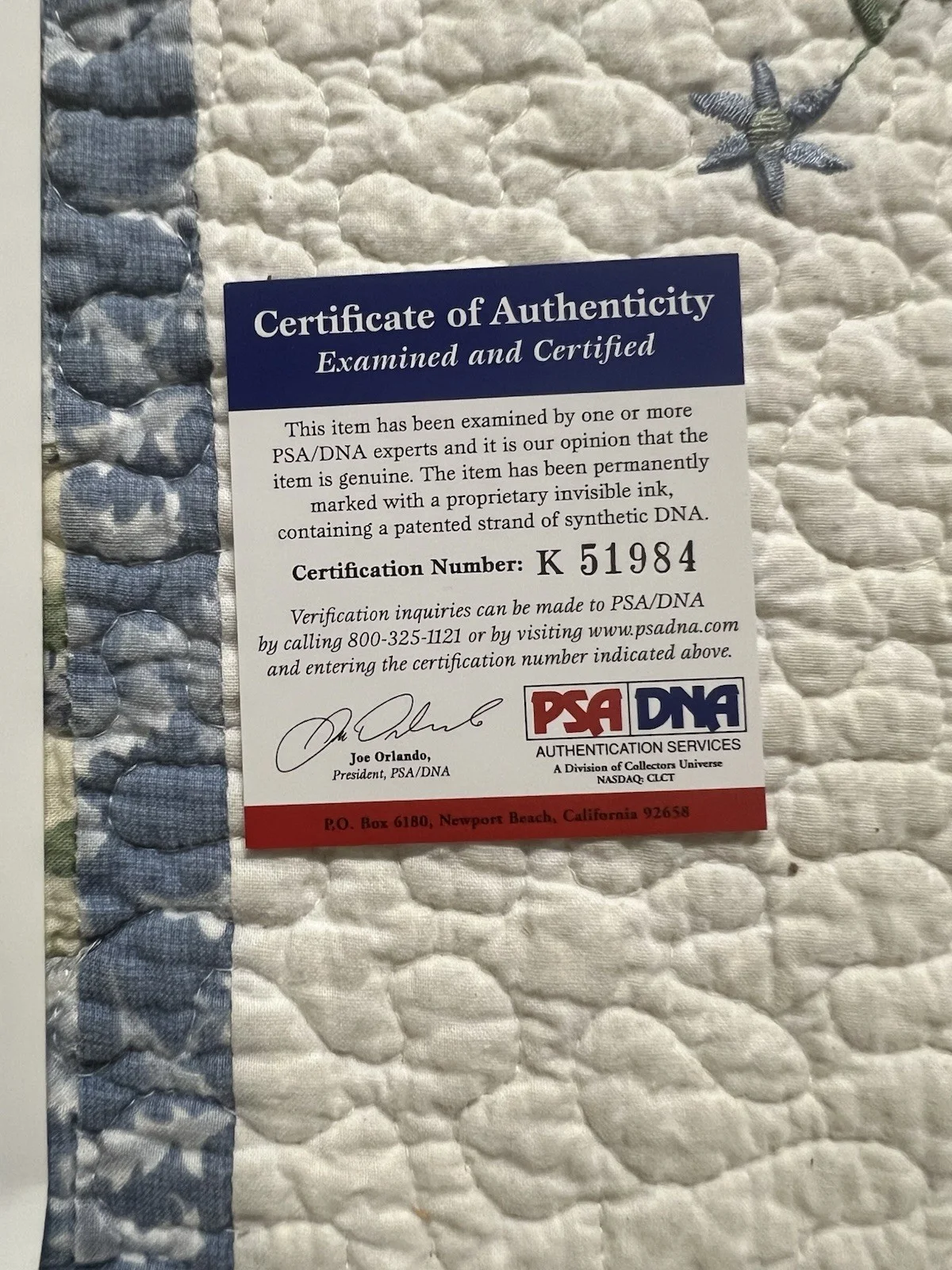Steve Martin Comedy Legend The Jerk Signed Autographed 11x17 PSA Certification, изображение 4
