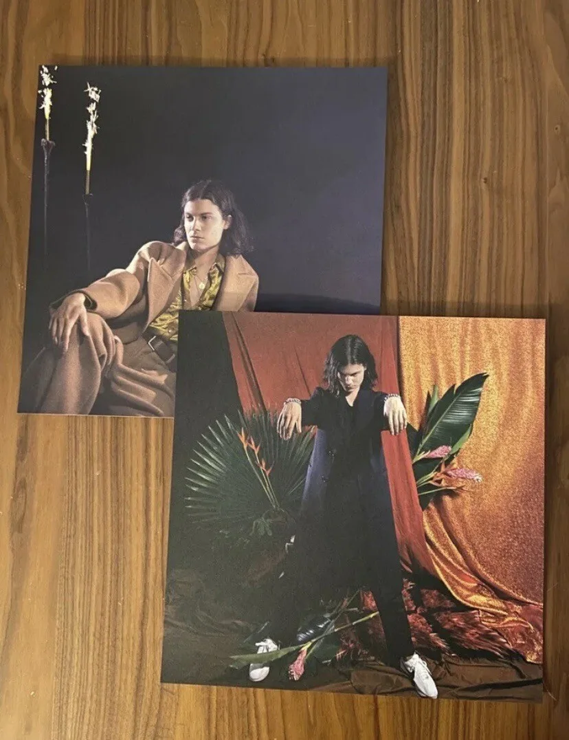 BORNS - Blue Madonna Lithograph Set (12 posters) Sealed New Lana Del Ray, изображение 5