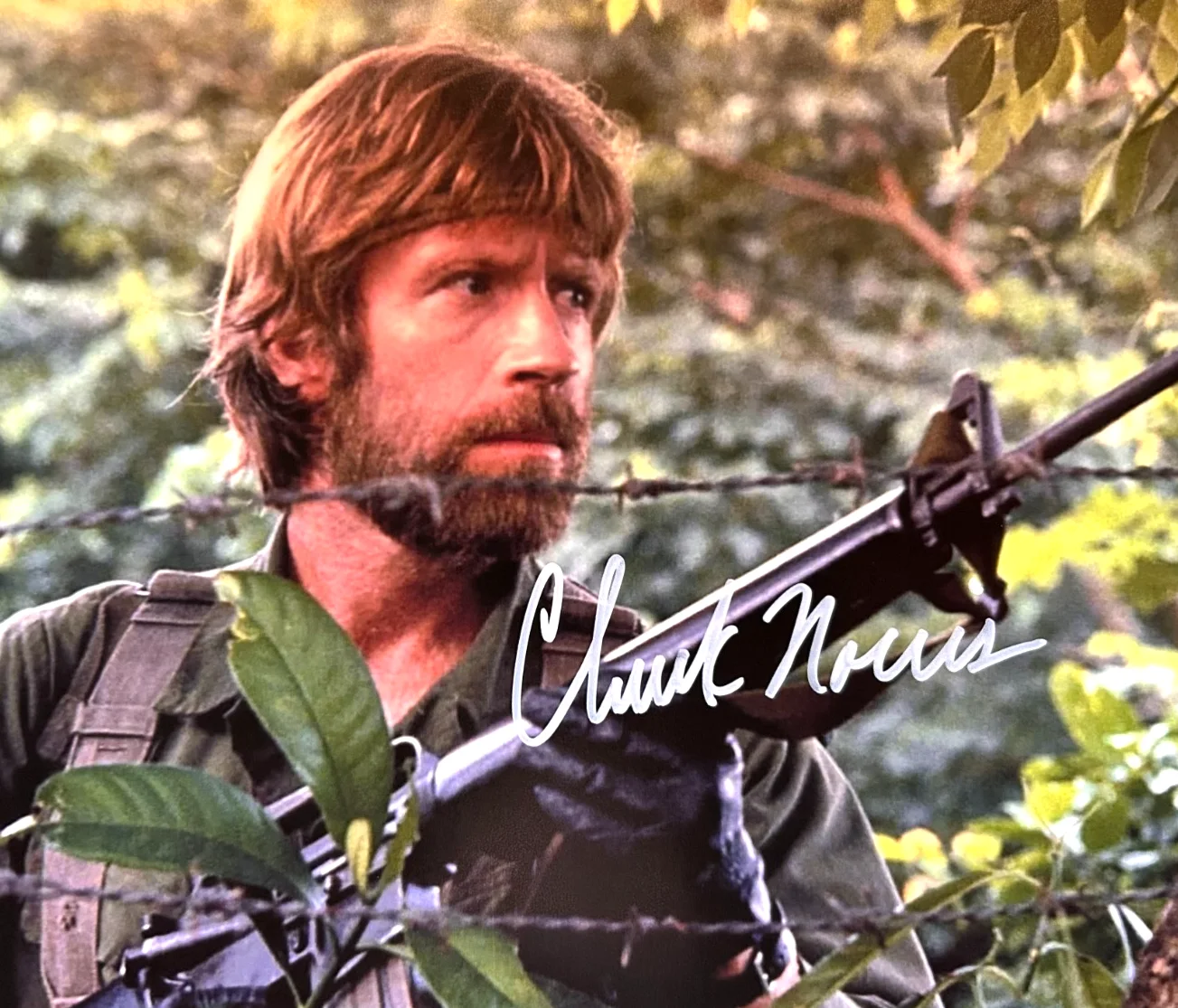 CHUCK NORRIS — CHUCK NORRIS Signed 8x10" Original Authentic Autograph GENUINE w/COA, image 3