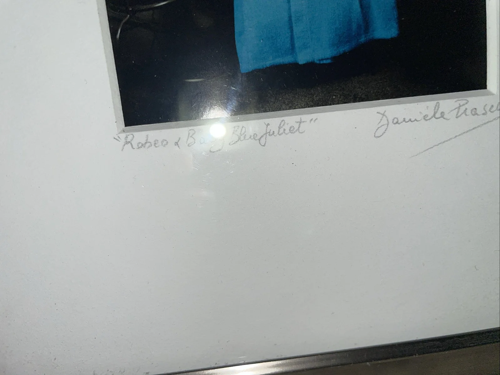 Signed Danielle Piasecki Picture “Robeo & Baby Blue Juliet", изображение 4