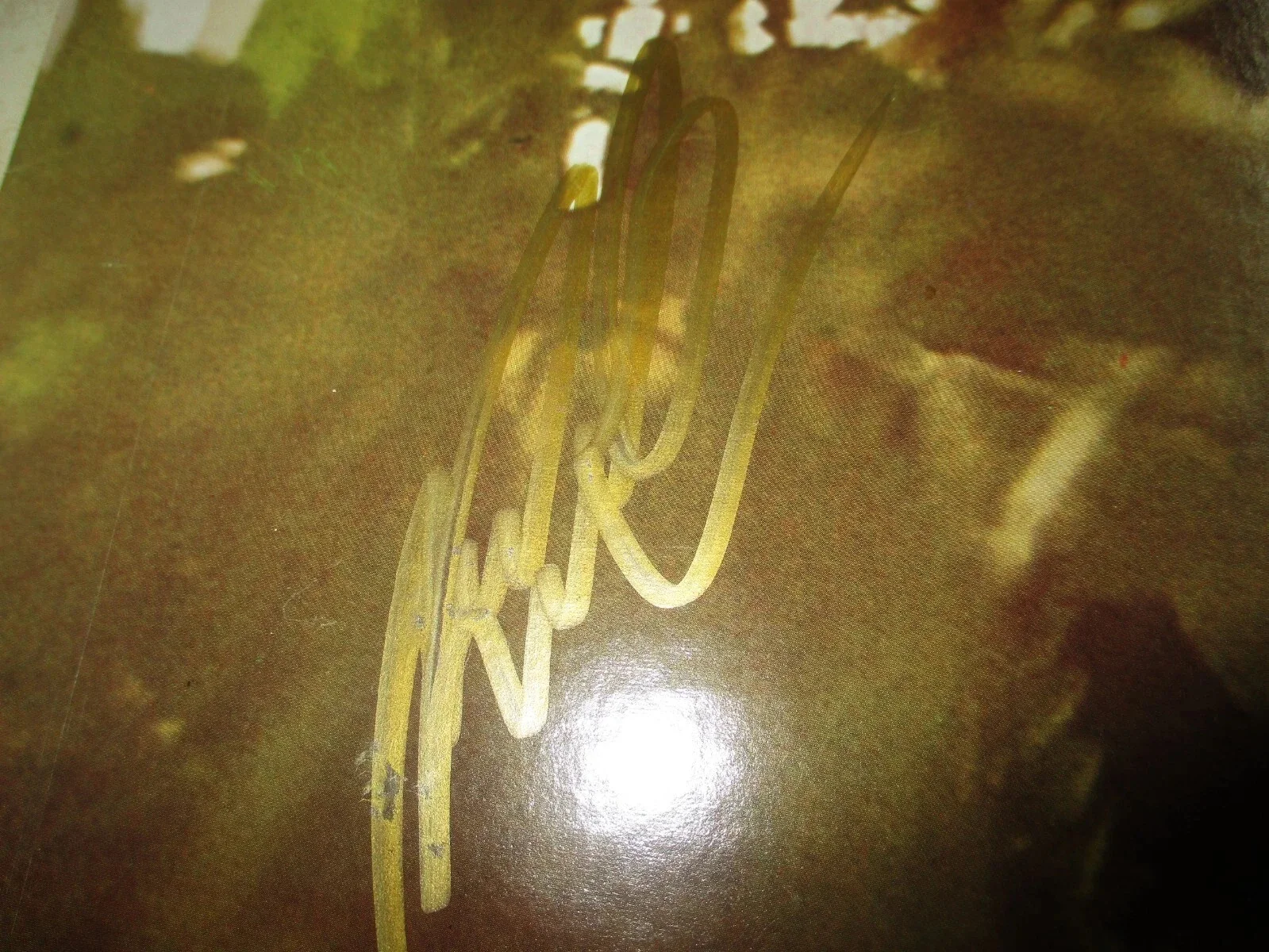 HANK WILLIAMS JR. (BOCEPHUS) AUTHENTIC AUTOGRAPHED/SIGNED VINYL RECORD ALBUM-JSA, image 4