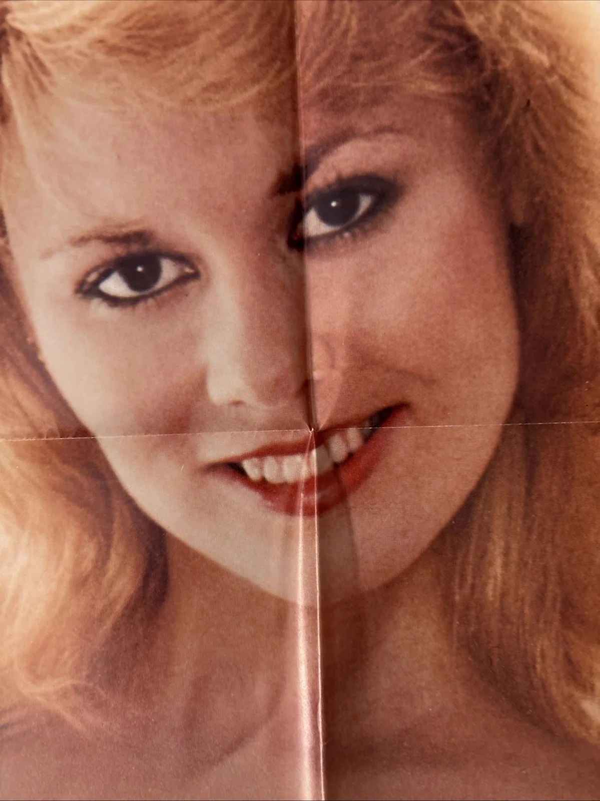 The T&A Team (1984) Original US One Sheet Movie Poster, image 5