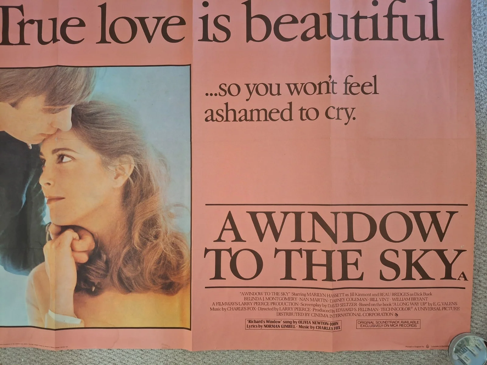 A Window To The Sky Rare & Original Film Cinema Movie Quad Poster 40 by 30", изображение 4