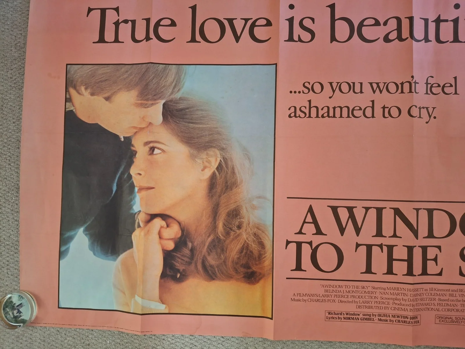 A Window To The Sky Rare & Original Film Cinema Movie Quad Poster 40 by 30", изображение 5