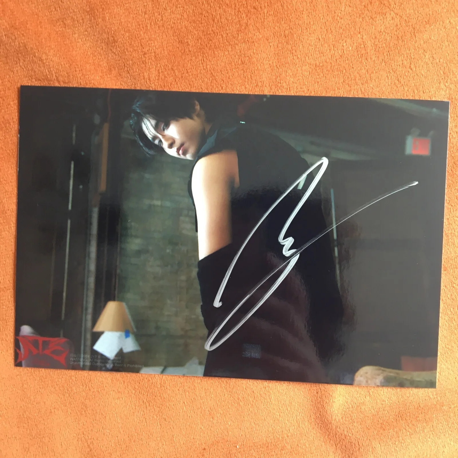 Stray Kids SKZ HAN Photo ATE Autographed Signed K-POP Collection 4*6 2024, image 5