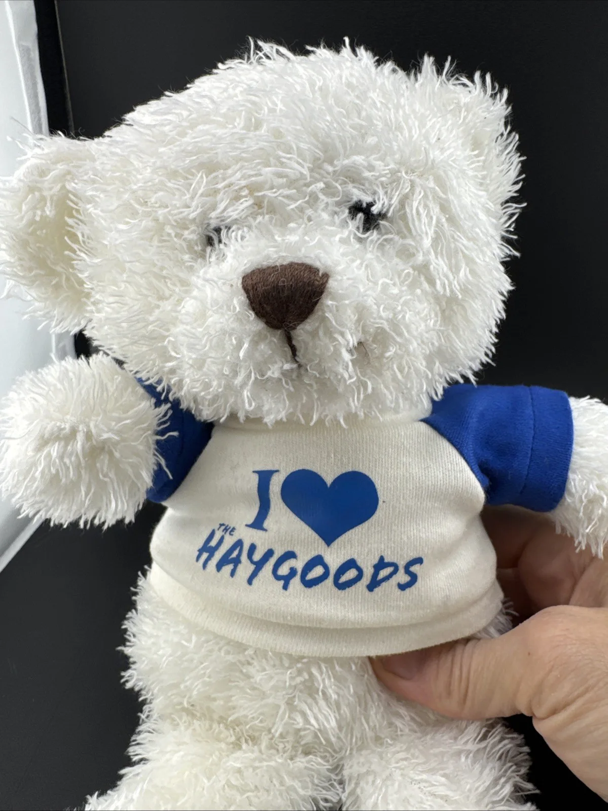 The Haygoods autographed bear. Branson’s Most Popular Show📦, image 2