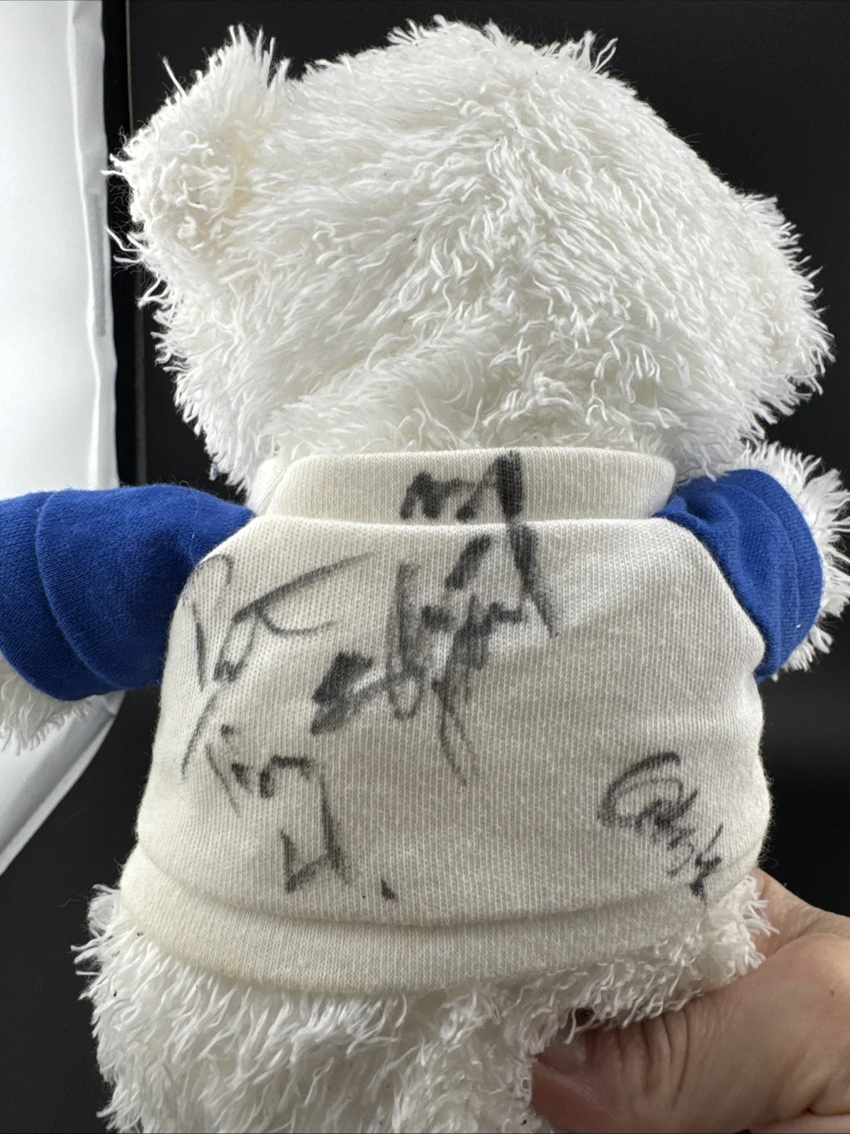 The Haygoods autographed bear. Branson’s Most Popular Show📦, image 3