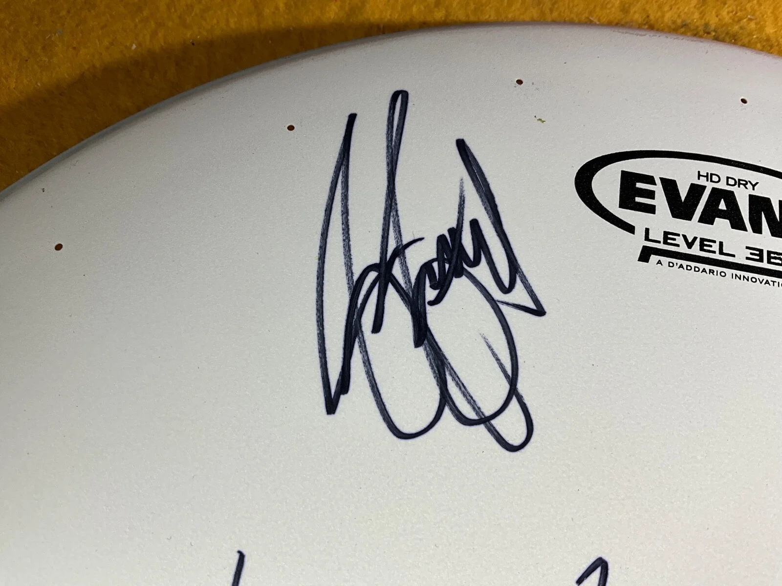 T5-97 BLUE OCTOBER BAND - DRUM HEAD (WHITE) - AUTOGRAPHED X4 - 2016 - WOW!, image 3