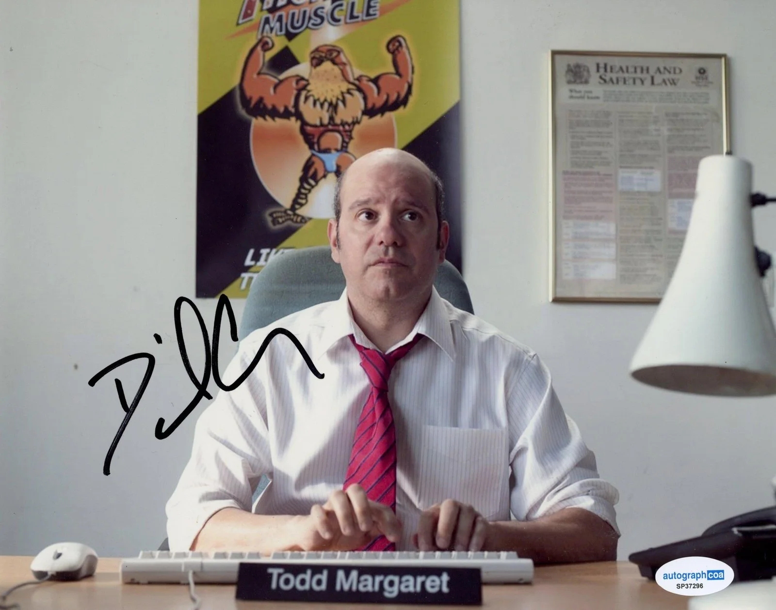 David Cross — David Cross "Increasingly Poor Decisions of Todd Margaret" SIGNED 8x10 Photo B, изображение 2