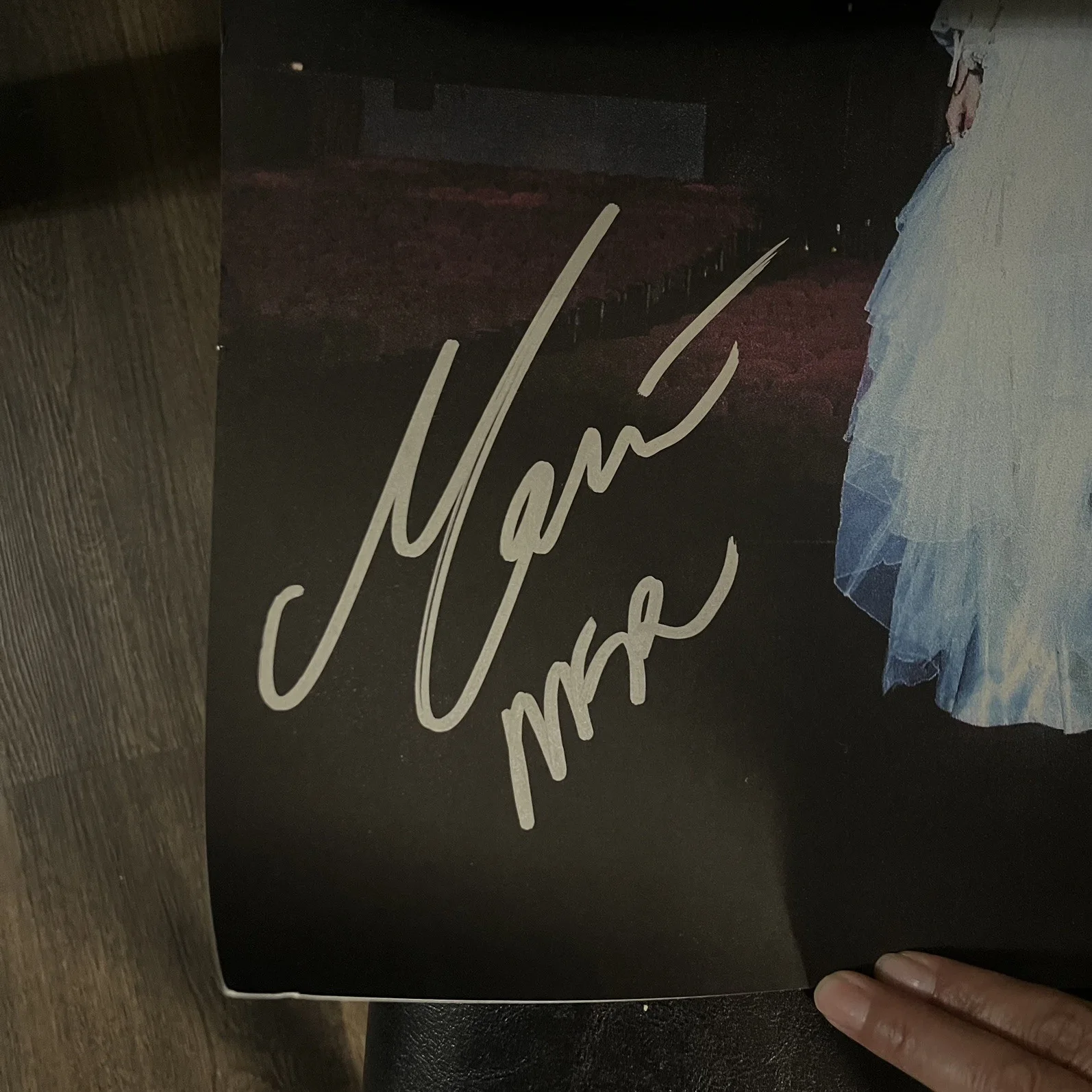 Not for Radio Tour Signed Poster By Maria Winter In The Garden The Marias, изображение 2