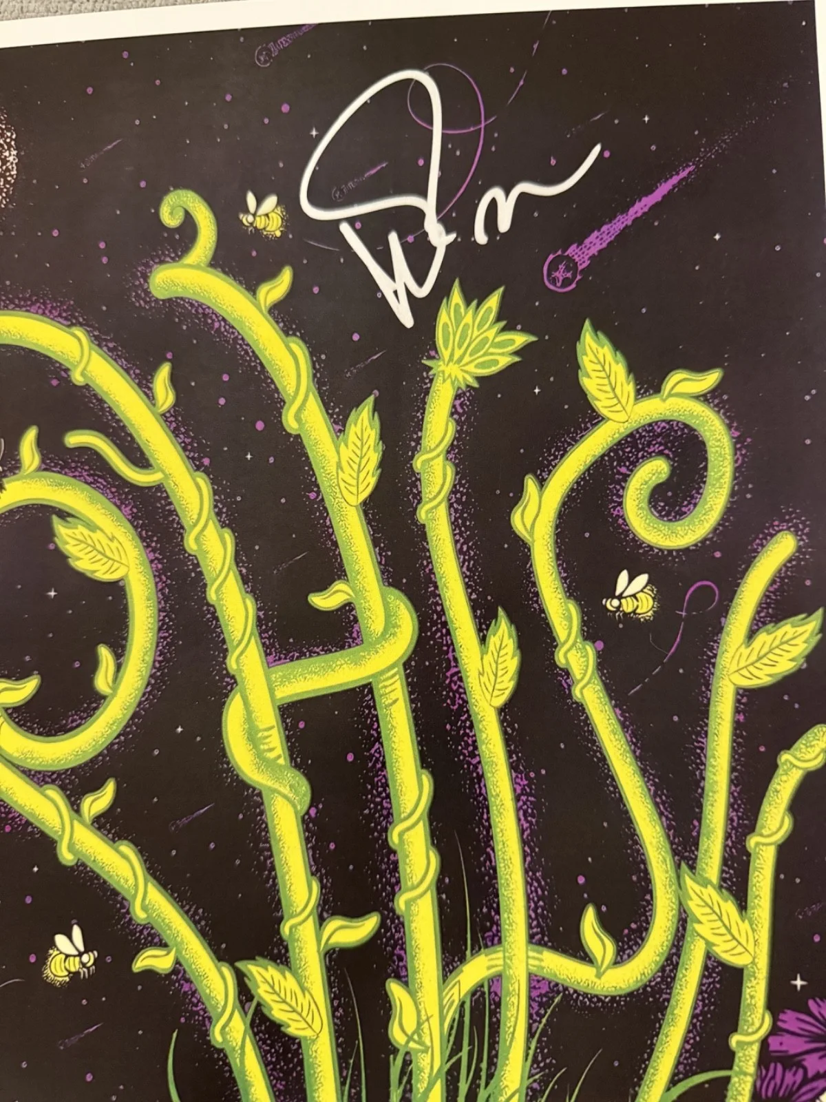 Trey Anastasio — Phish 11x17 Poster Hand Signed Trey Anastasio Autographed w/COA Jam Band, изображение 2