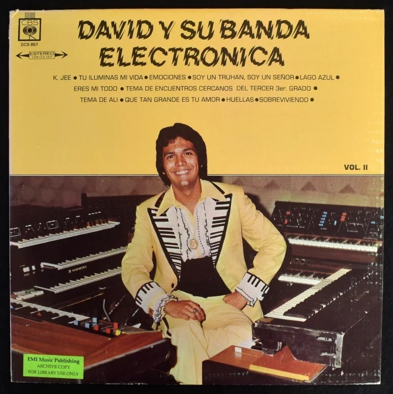 David Y Su Banda Electronica - Vol. II [LP], image 2