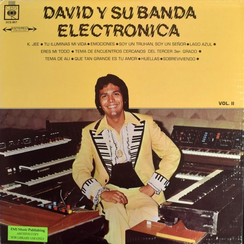 David Y Su Banda Electronica - Vol. II [LP], image 3